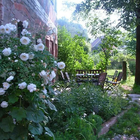 Muhle * Langenchursdorf